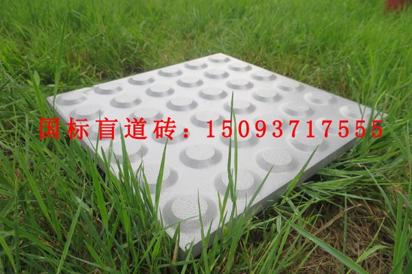 全瓷盲道砖-质量与服务并肩-中冠建材厂家长远征战市场