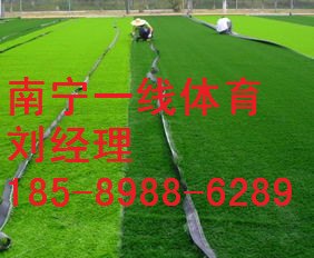 合浦人造草皮铺设，北海人造草皮价格
