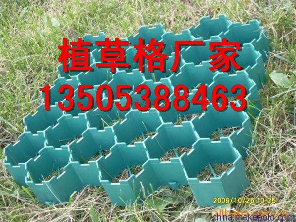 蚌埠植草格厂家 植草格型号