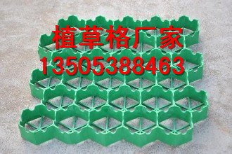 巢湖植草格厂家 植草格型号