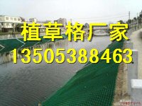 黄山植草格厂家 植草格型号