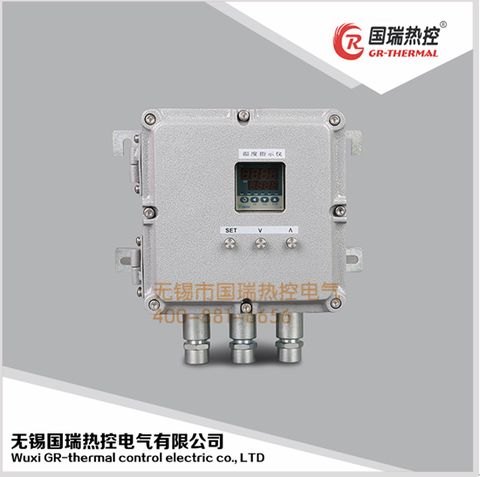 数显温控仪供应，国瑞热控，厂家定制