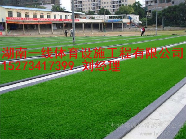 常宁市人造草场报价，足球场假草质量湖南一线体育设施工程有限公司