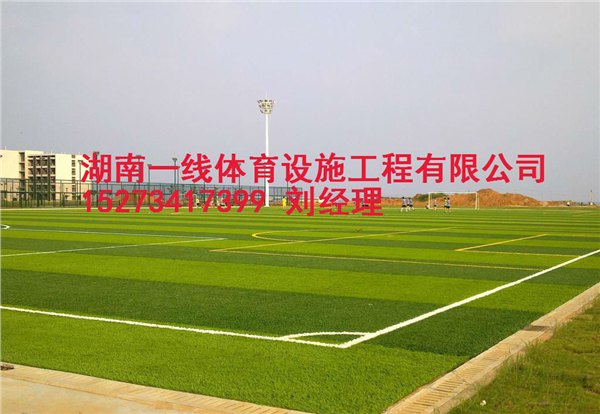 常宁市人造草足球场铺设,在哪里可以买得到湖南一线体育设施工程有限公司