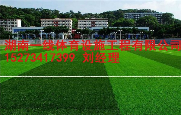 常宁市人造草皮价格，足球场人造草铺装湖南一线体育设施工程有限公司