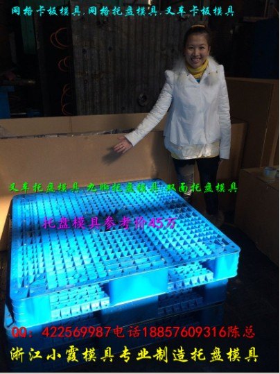 重庆模具厂 一米四塑胶叉车卡板模具生产注塑模具公司