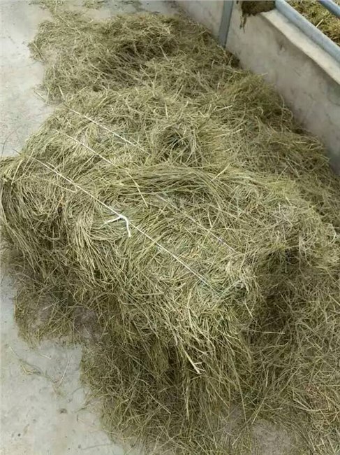 常年经销批发羊草 羊草捆厂家 隆泰牧业厂家