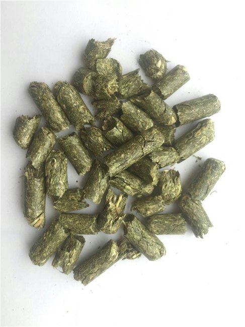牛马羊反刍动物颗粒饲料 碱草颗粒 马颗粒饲料 生产颗粒饲料厂家