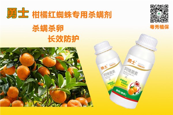 厂家直销红蜘蛛药专打螨虫红蜘蛛药进口原药杀螨剂批发
