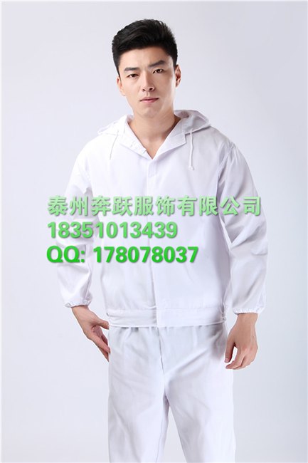 湖南株洲市 天元区 食品服连帽食品服