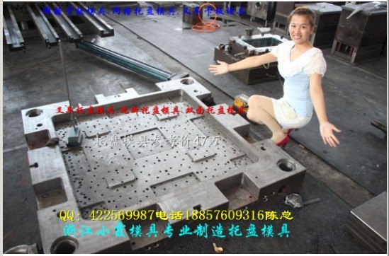 专做塑料模具 网格塑料双层托盘模具 网格塑料单面托盘模具浙江厂