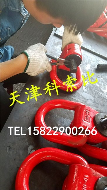 天津哪里的核电吊环价格便宜？