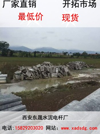 陕西监控电杆报价