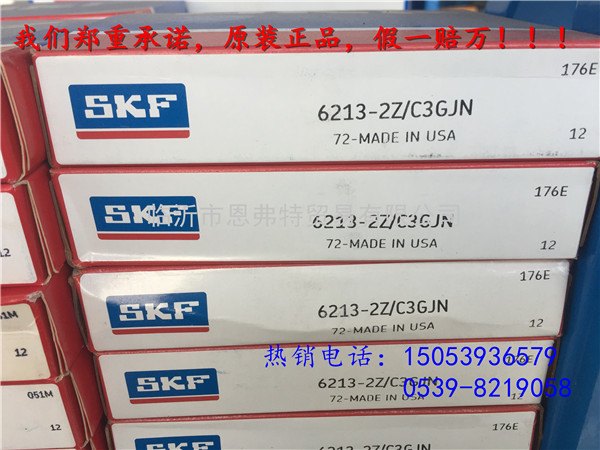 原装进口SKF深沟球轴承6213-2z/c3