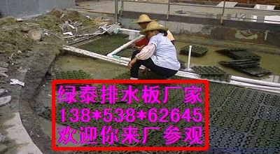 宁德片材排疏板生产工艺￥龙岩车库防潮板原理