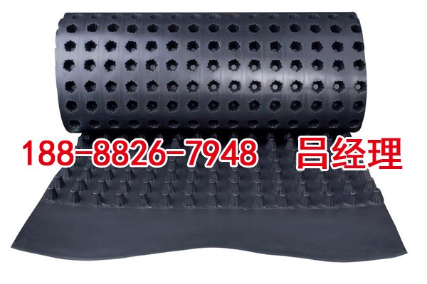 塑料凹凸排水板 