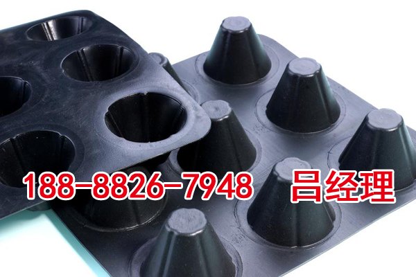 排水塑料板生产厂家