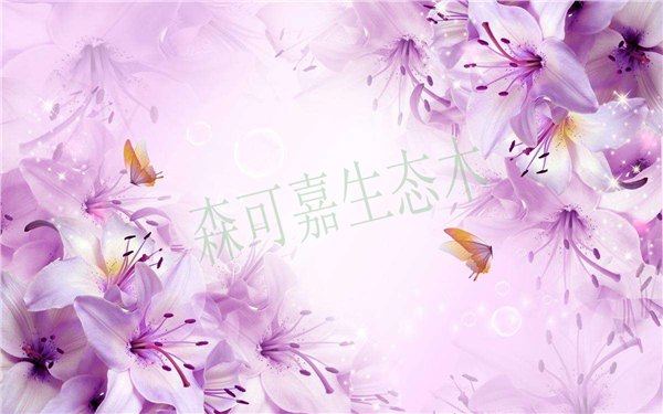 珠海森可嘉緑可木厂家直销木塑防潮防水电视3D木塑背景墙板