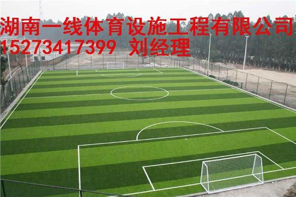 衡阳专业十一人足球场建设施工湖南一线体育设施工程有限公司
