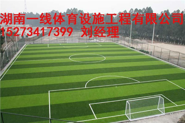 衡阳人造草的坪价格与人造草坪的施工湖南一线体育设施工程有限公司