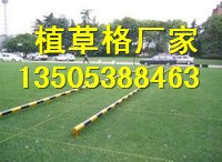滁州4公分植草格价格塑料植草格