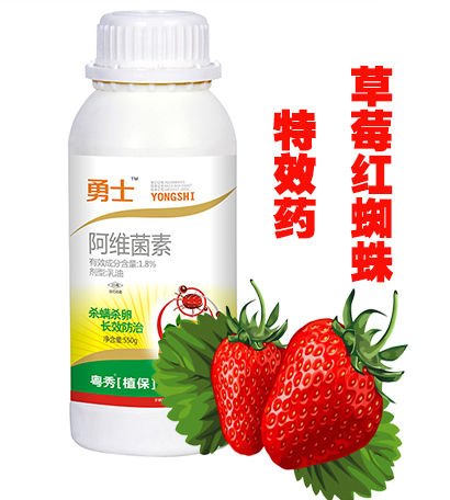 草莓长红蜘蛛怎么办草莓红蜘蛛特效药草莓红蜘蛛专用杀螨剂
