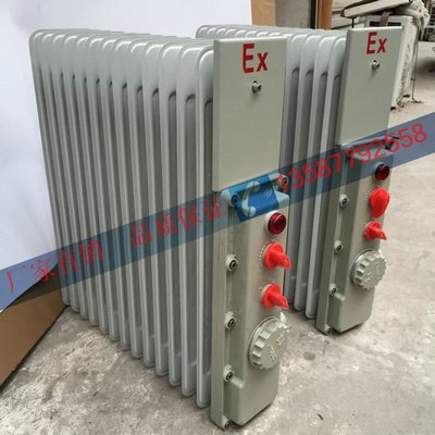 密闭式防爆油汀 BDR-2/11YR 220V ExdIIBT4 厂家