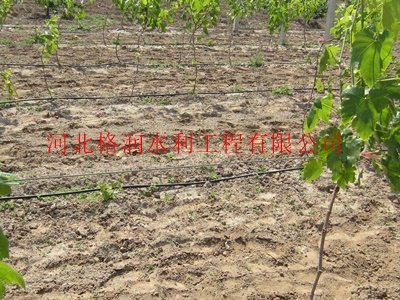 滴灌管最新报价|新都区马家农田滴水管