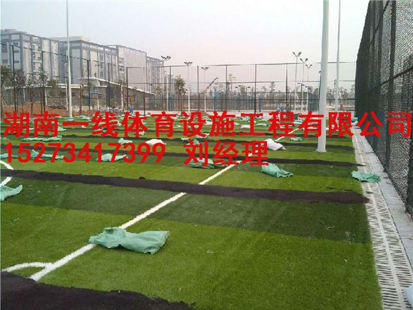 郴州足球场草皮施工单位报价，郴州人造草皮厂家批发价格湖南一线体育设施工