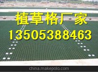 安徽4公分植草格人行道植草格/量大从优