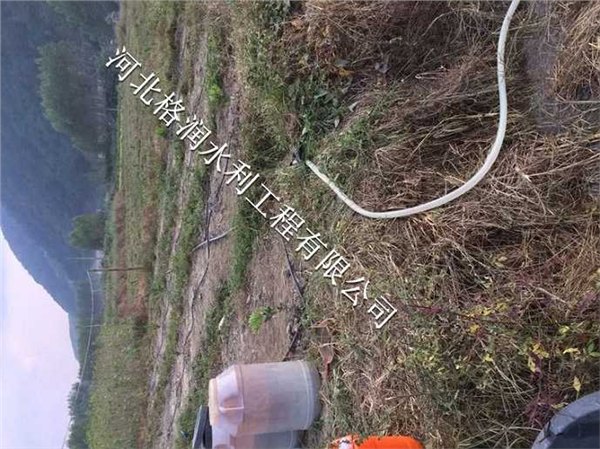 金牛区五块石果树灌溉设备价格及生产厂家