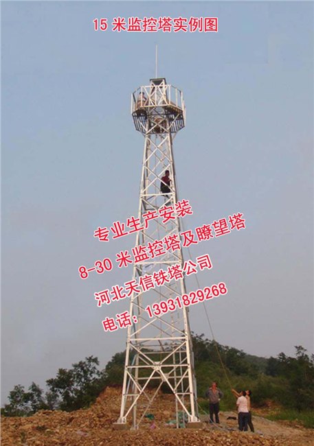 监控塔生产厂家-河北天信塔业