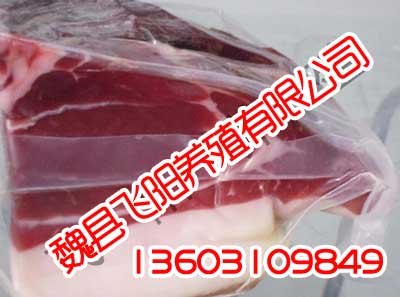 邯郸野猪肉,邯郸野猪肉元芳也买这家,飞阳野猪养殖
