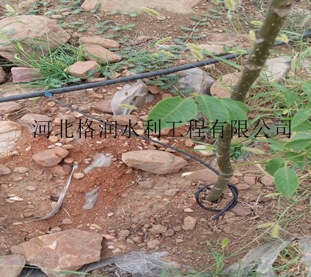 供应农用机械滴头|南部县石河自动滴灌