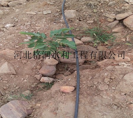 南部县石河果树灌溉设备|高效规格产品