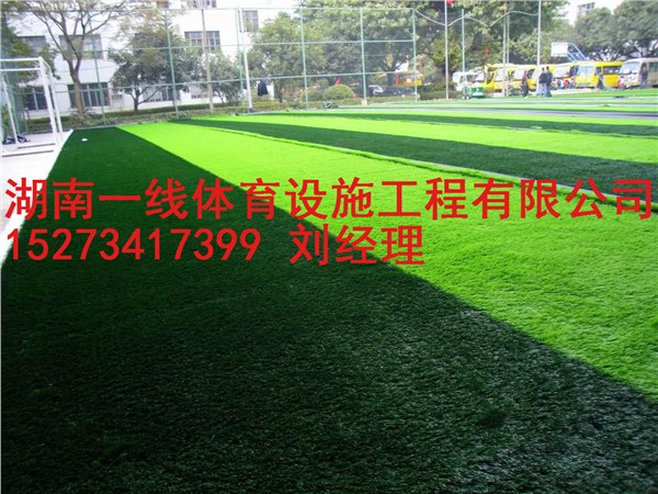 衡阳人造草足球场最低报价  厂价直销湖南一线体育设施工程有限公司
