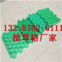 泰安园林绿化植草格-规格/型号