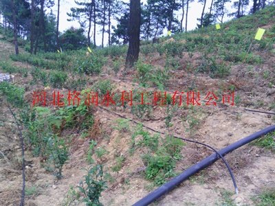 促销仪陇县柳垭大田滴灌产品|多型号滴灌管