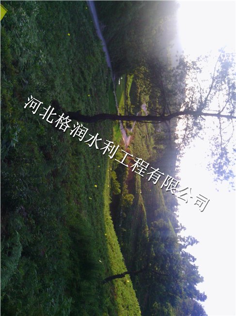 滴灌PE管厂家|阆中市彭城特价供应