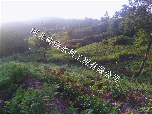 阆中市彭城果园滴水管|果树滴灌PE管材