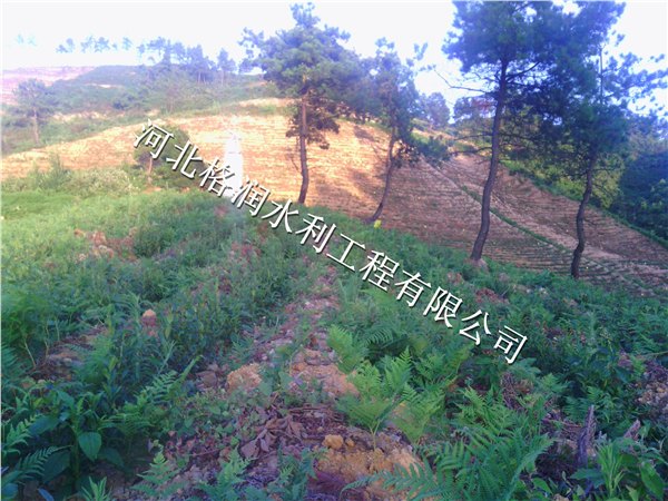 果树滴灌精品PE管材件阆中市彭城价格