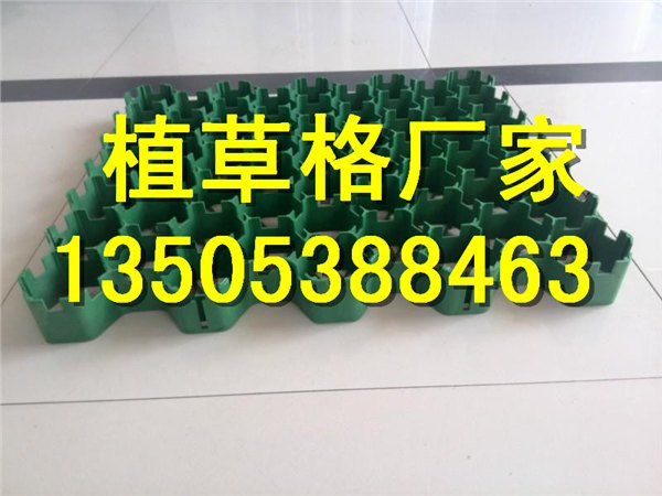 武汉7公分塑料植草格4公分植草格/价格优惠