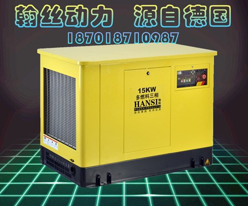 15kw天燃气发电机组价格