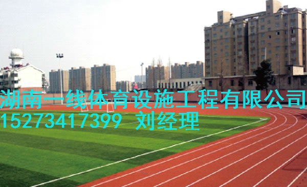 株洲塑胶跑道工程造价，株洲塑胶跑道尺寸建设湖南一线体育设施工程有限公司