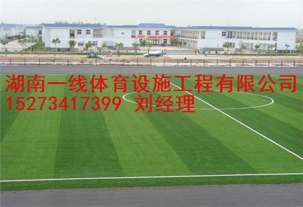 株洲 人造草足球场翻新，足球场改造湖南一线体育设施工程有限公司