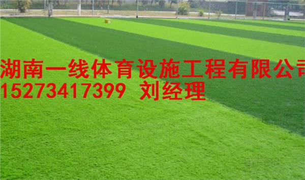 株洲足球场草坪施工方案  最低价格湖南一线体育设施工程有限公司