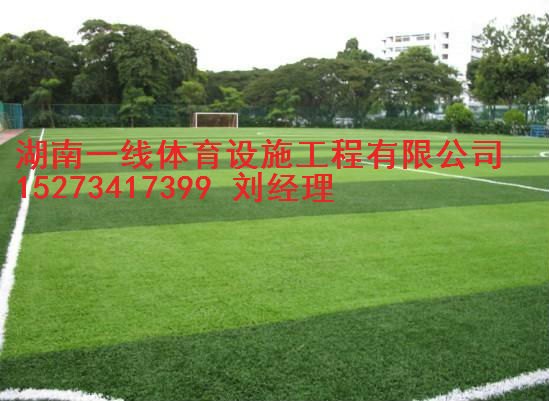 株洲标准人造草足球场建设 专注体育场地施工十余年湖南一线体育设施工程有