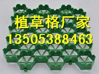 太原塑料植草格/停车场植草格厂家