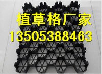 晋中塑料植草格/绿化植草格欢迎你