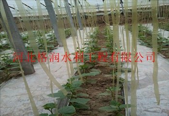 优质圆柱式滴灌管批发价|蓬安县正源滴灌